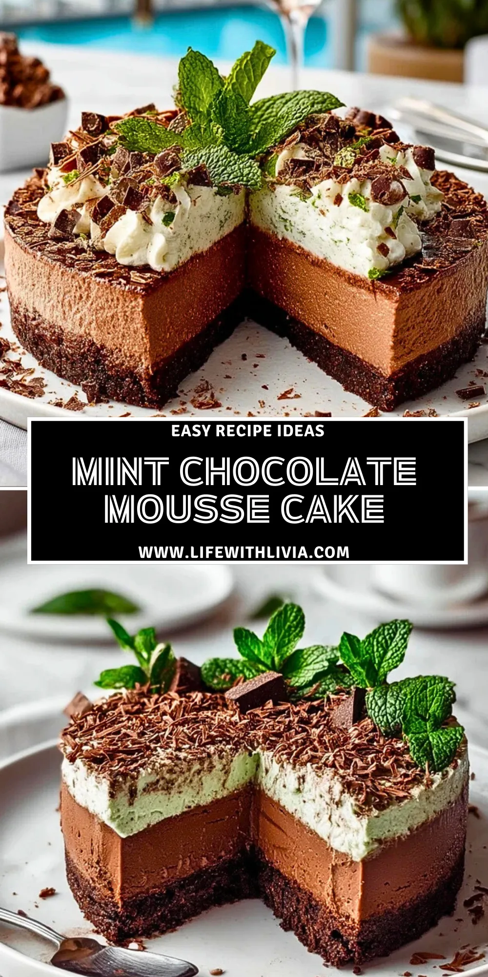 Mint Chocolate Mousse Cake - Pin 1