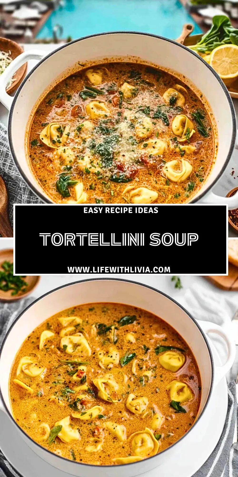 Tortellini Soup- Pin 1