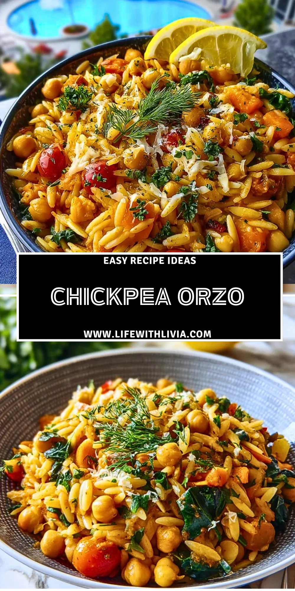 Chickpea Orzo -Pin 1