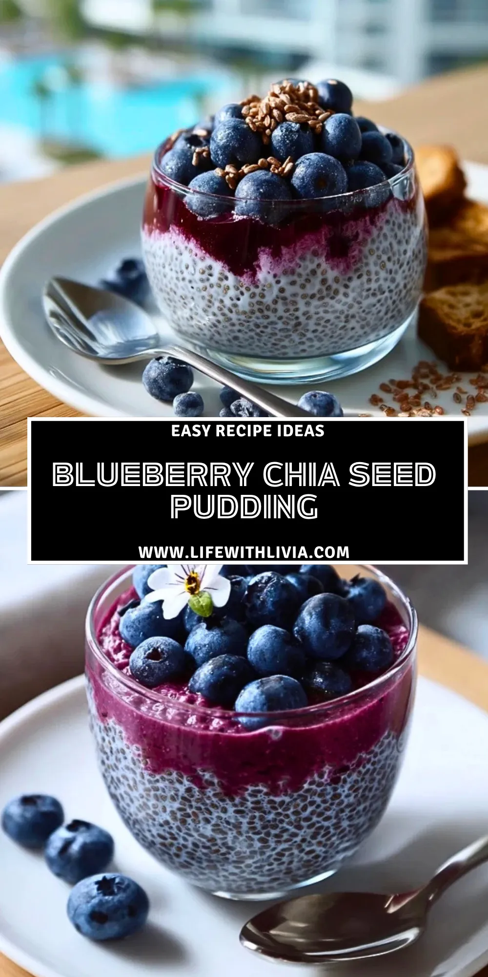 Blueberry Chia Seed Pudding - Pin 1
