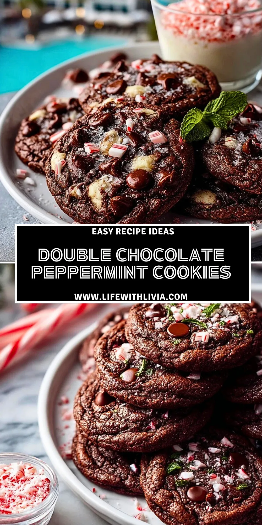Double Chocolate Peppermint Cookies- Pin 1