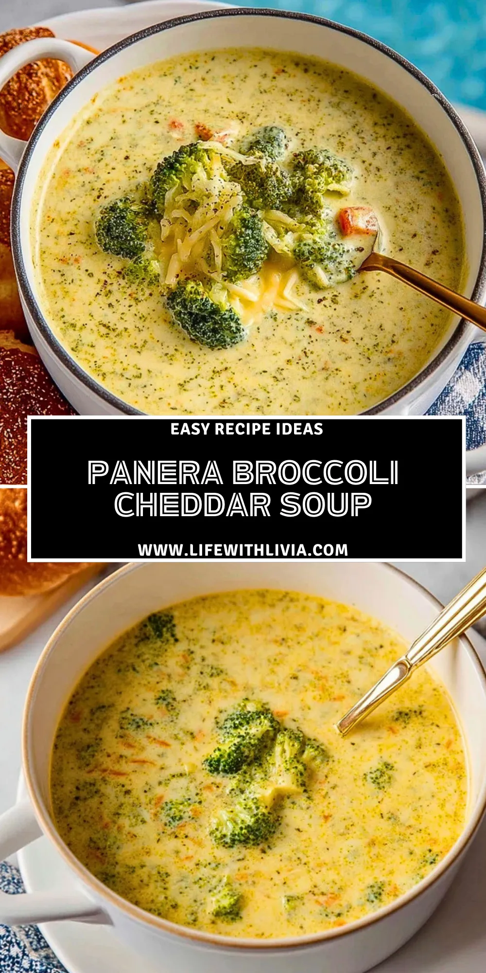 Panera Broccoli Cheddar Soup - Pin 1
