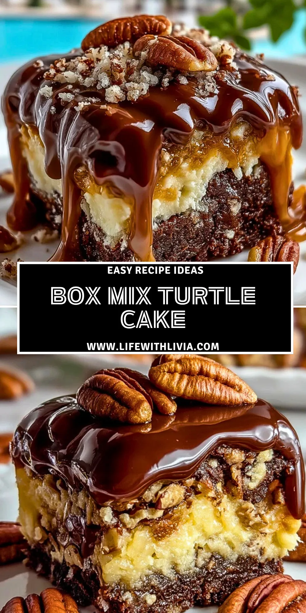 Box Mix Turtle Cake - Pin 1