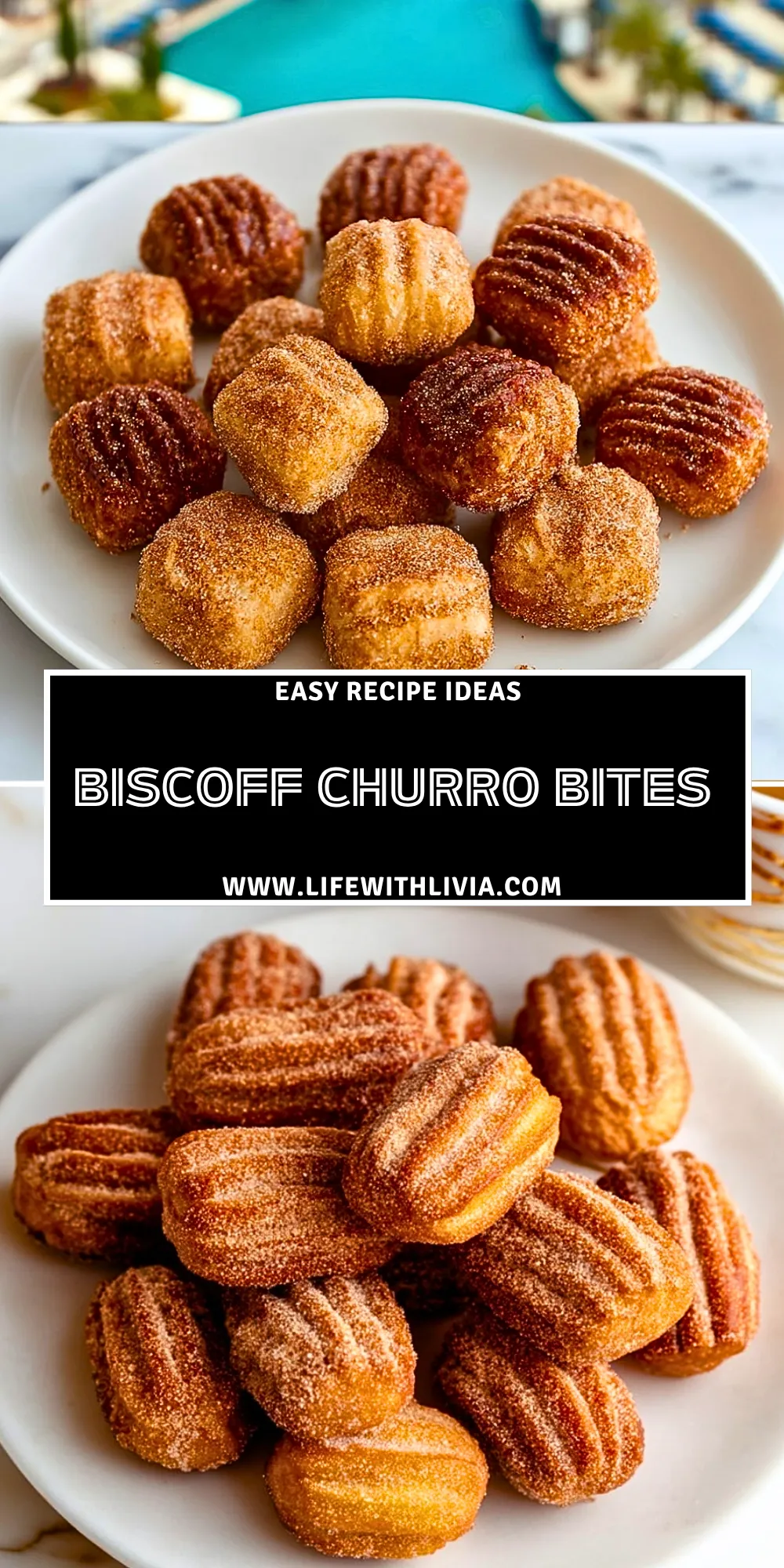 Biscoff Churro Bites- Pin 1